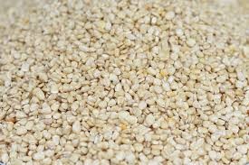 Corn- White